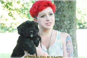 JETHRO du Clos de la Luette00.jpg
JETHRO du Clos de la Luette Copyright Elevage de bouvier des flandres du Clos de la Luette